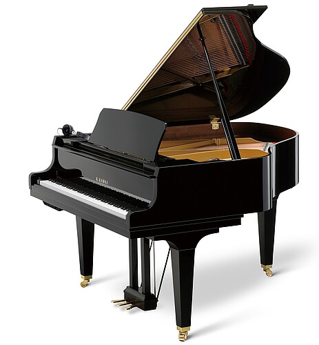 Kawai GL-30 ATX 4 Flügel - Bild 1