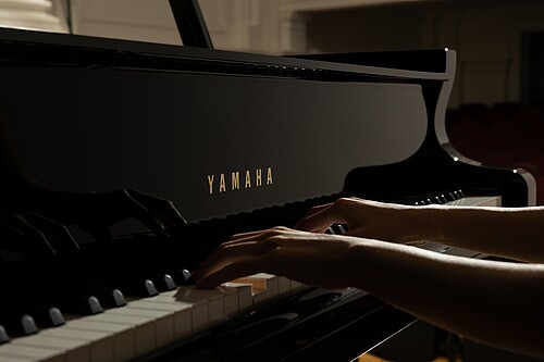 Yamaha S3X SH3 Flügel - Bild 2