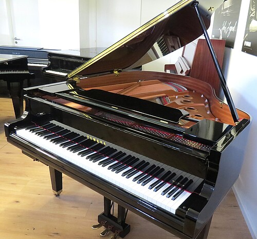 Yamaha GC1 SH Silent Flügel Flügel - Bild 1