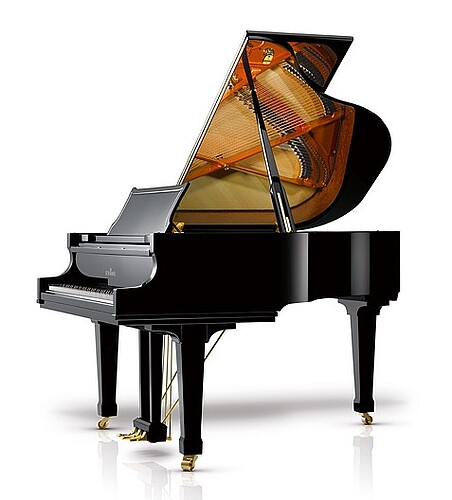 Schimmel C 169 T Flügel - Bild 1