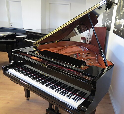 Yamaha GC1 SH Silent Flügel Flügel - Bild 4