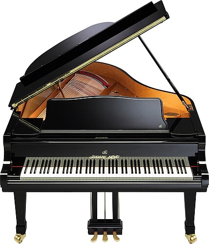 Shigeru Kawai SK-3 Flügel - Bild 3