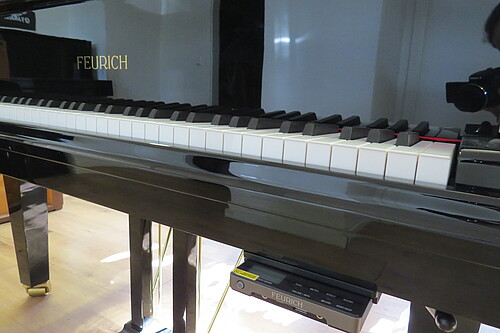 Feurich Dynamic II Flügel - Bild 4