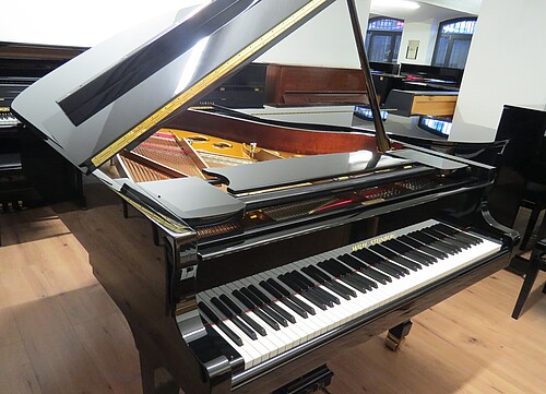 Wilh. Steinberg Flügel - Bild 3