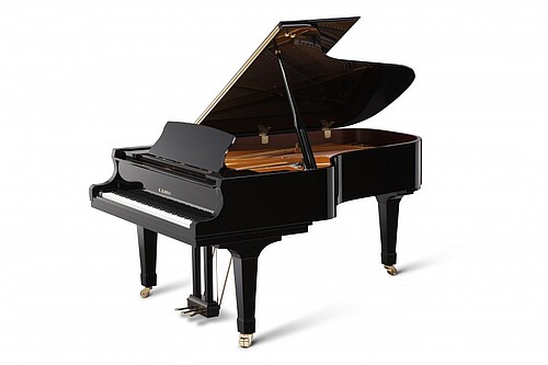 Kawai GX-6 Flügel - Bild 1