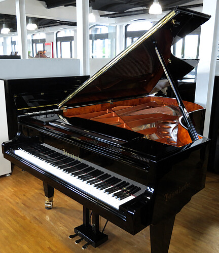 Bösendorfer 225 Flügel - Bild 2