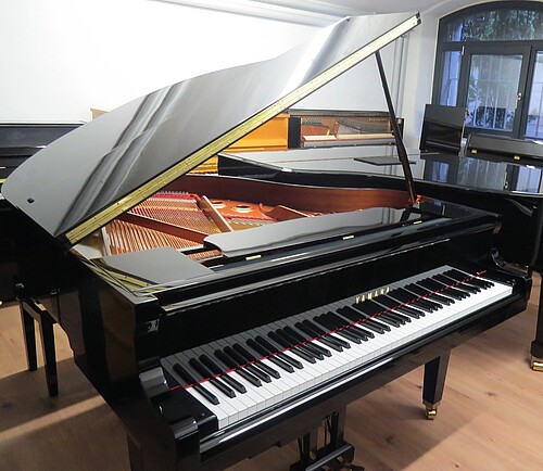 Yamaha GB1 SC3 Silent Flügel Flügel - Bild 2