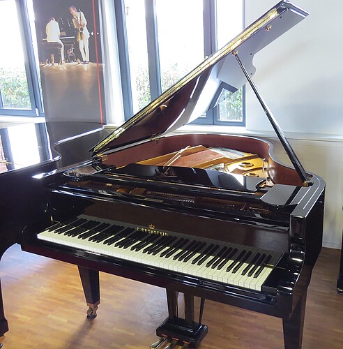 C. Bechstein L-167 Flügel - Bild 1