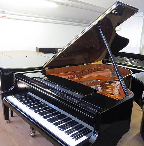 Bösendorfer 200 (1992) Flügel - Bild 4