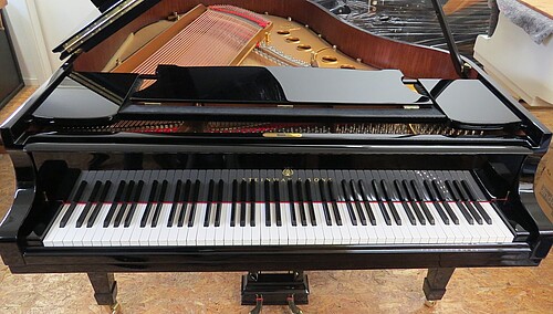 Steinway M-170 Flügel - Bild 2