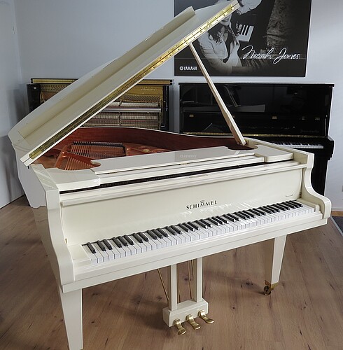 Schimmel 182 T Flügel - Bild 2