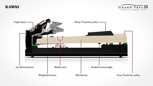 Kawai CA 901 EP Digitalpiano - Bild 3