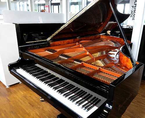 Bösendorfer 225 Flügel - Bild 1