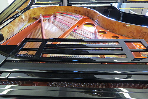 Feurich Dynamic II Flügel - Bild 2