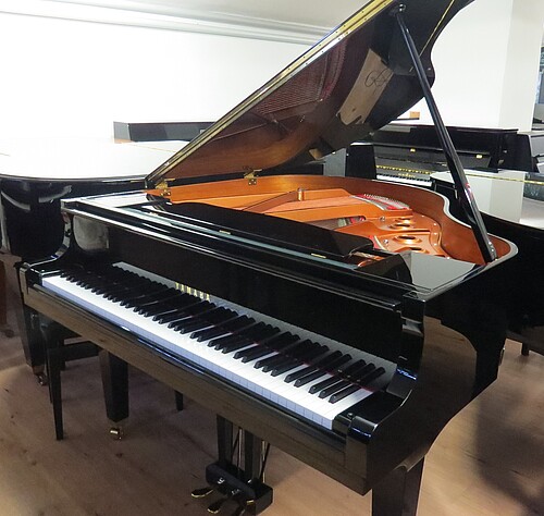 Yamaha Disklavier DGB1 ENSPIRE Flügel - Bild 1