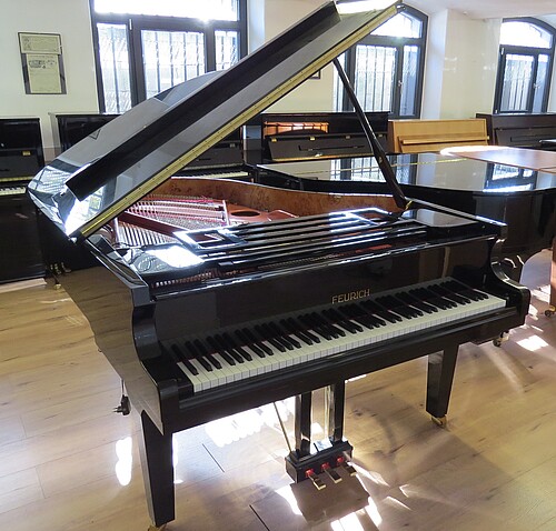 Feurich Dynamic II Flügel - Bild 1