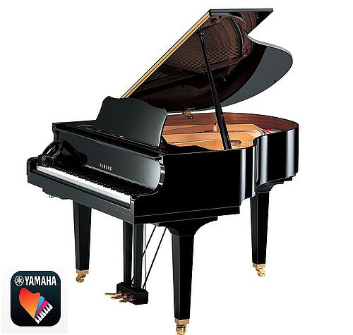 Yamaha GB1 SC3 Silent Flügel Flügel - Bild 1