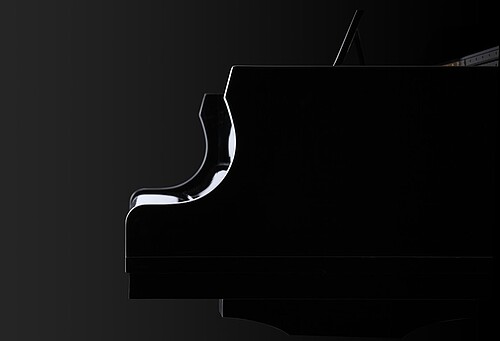 Kawai GX-5 Flügel - Bild 3