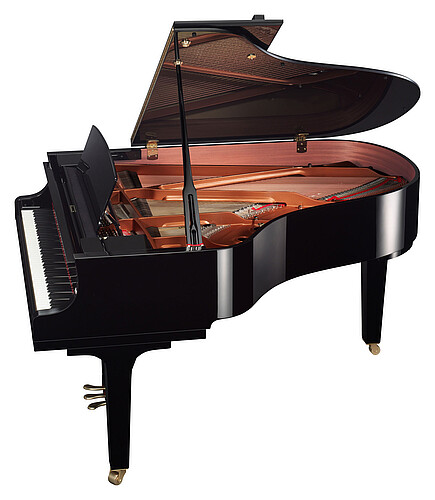Yamaha C3X PE Flügel - Bild 3