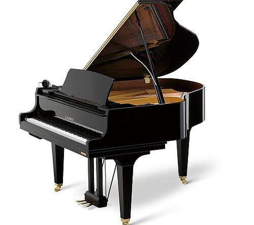 Kawai GL-30 Aures2 Flügel - Bild 1