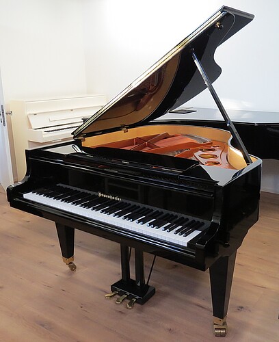 Bösendorfer 170 Flügel - Bild 1
