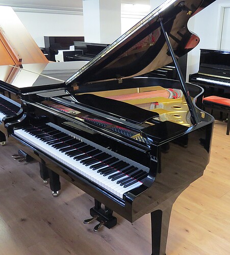 Yamaha G2 Flügel - Bild 1