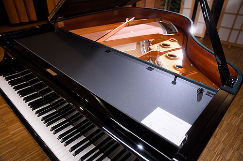Kawai GX-2 Mask Flügel - Bild 6