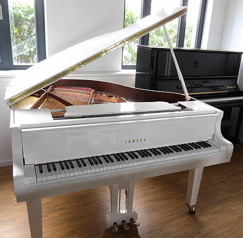 Yamaha disklavier DGB1 ENSPIRE weiß Flügel - Bild 2
