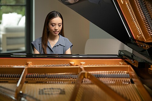 Yamaha S3X Flügel - Bild 2