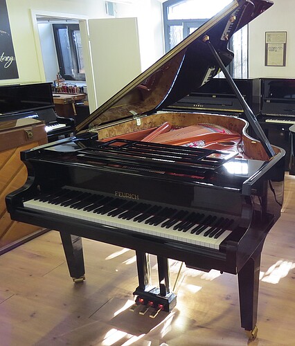 Feurich Dynamic II Flügel - Bild 3