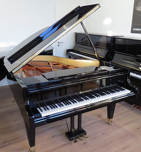 Bösendorfer 170 Flügel - Bild 2