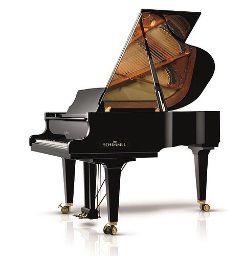 Schimmel K 175 T Flügel - Bild 1