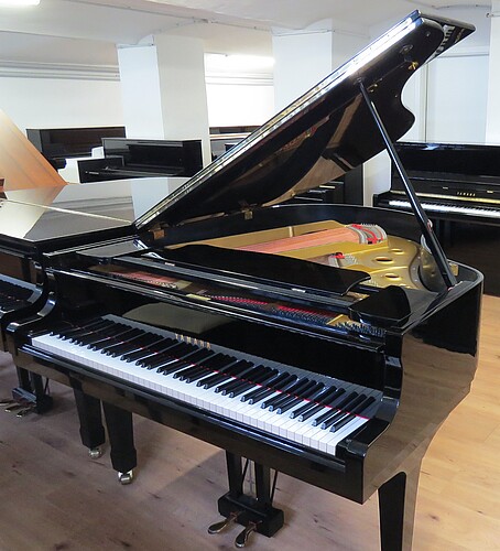 Yamaha G2 Flügel - Bild 2