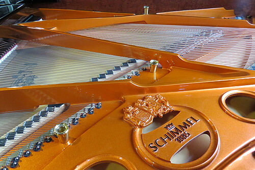 Schimmel C 189 T Flügel - Bild 4
