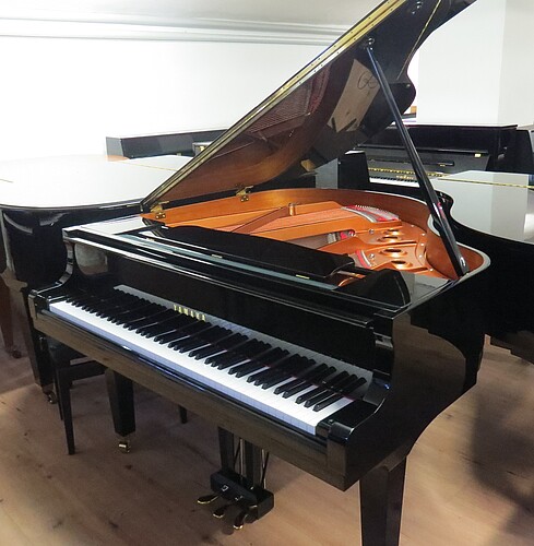 Yamaha Disklavier DGB1 ENSPIRE Flügel - Bild 6
