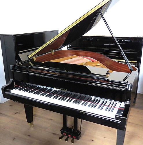 Kawai GL-10 ATX4 Flügel - Bild 1