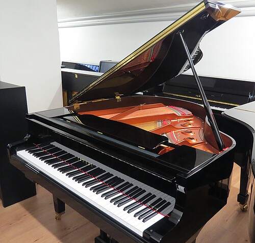 Yamaha GB1 SC3 Silent Flügel Flügel - Bild 1